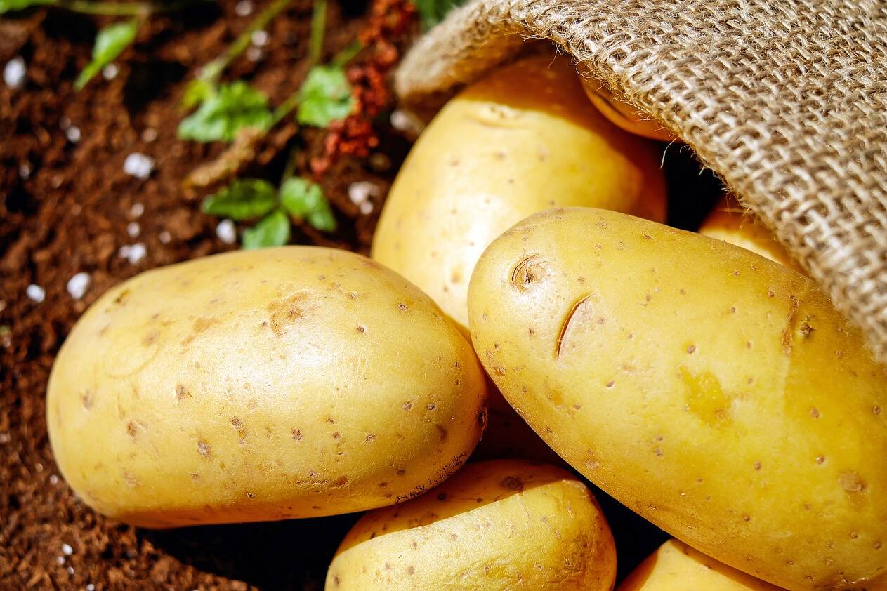 potatoes
