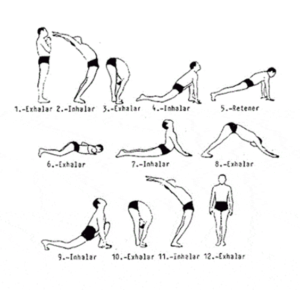 Surya Namaskar Positions