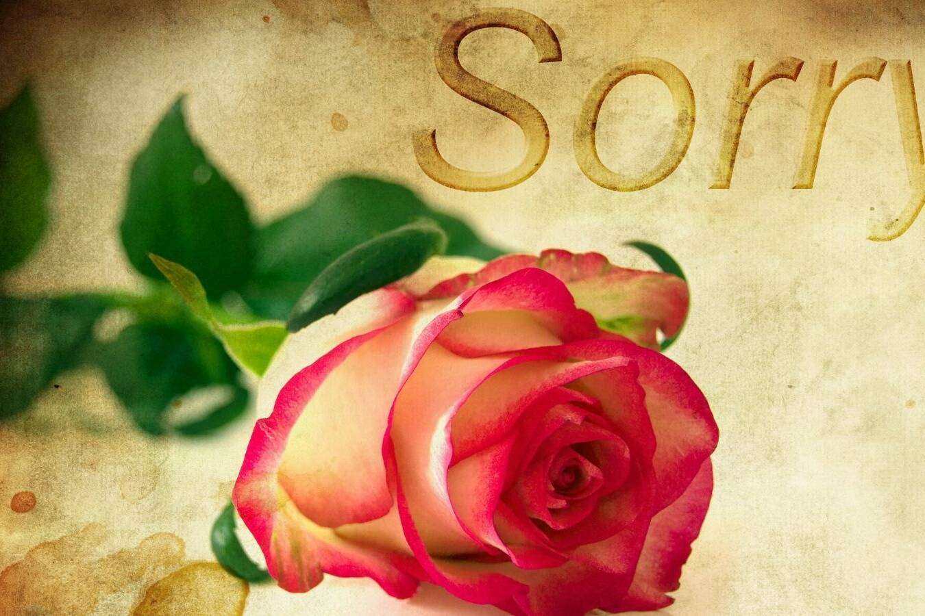 Forgiveness is a Gift