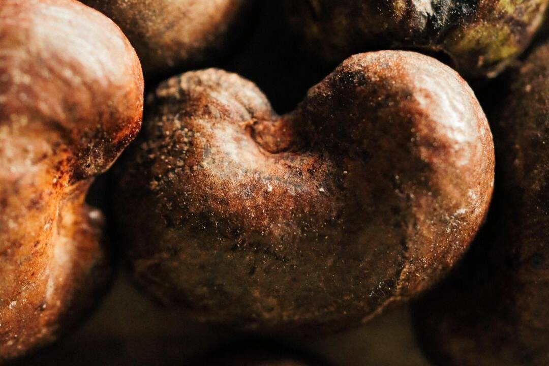 Kidneys