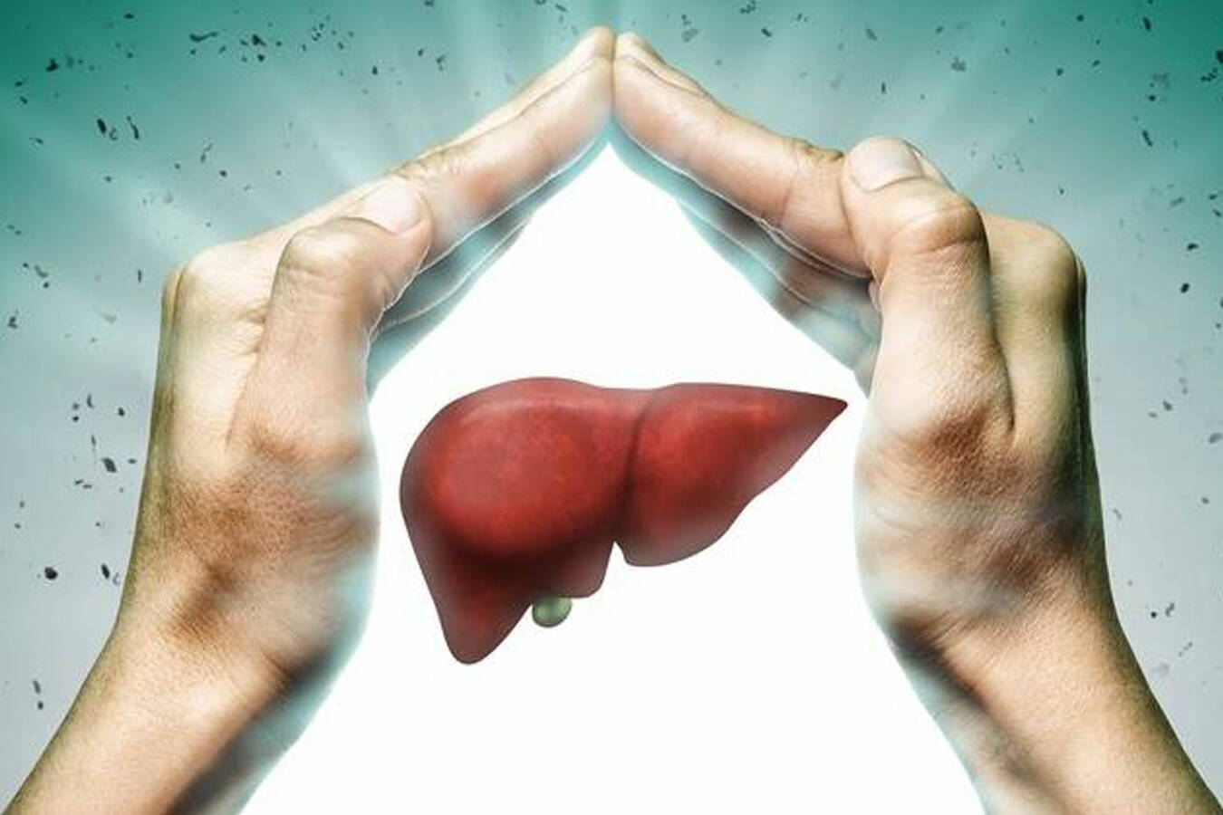 liver health