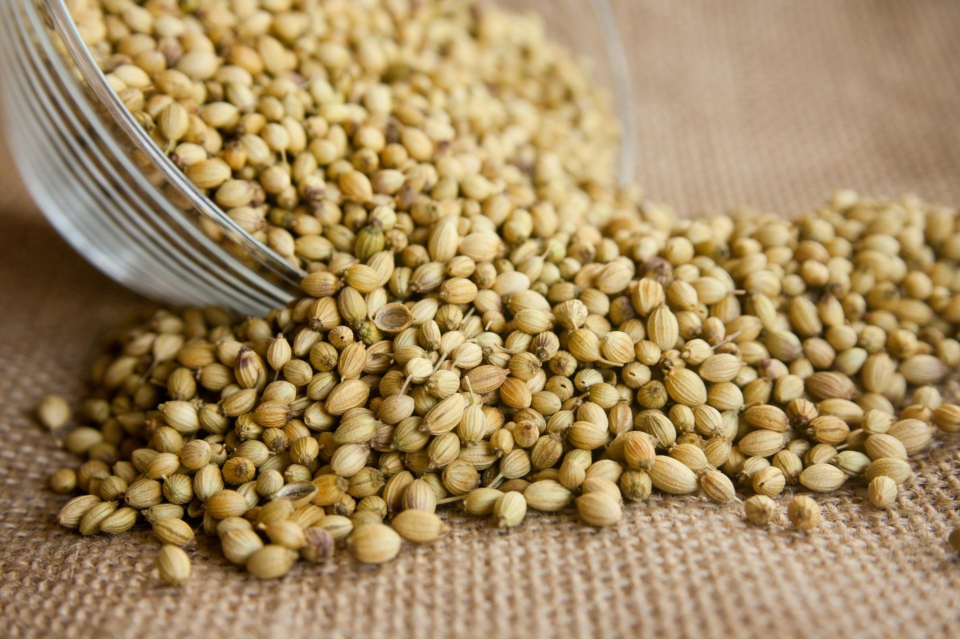 The Story Behind Immunity Boosting Powder And More Information About It