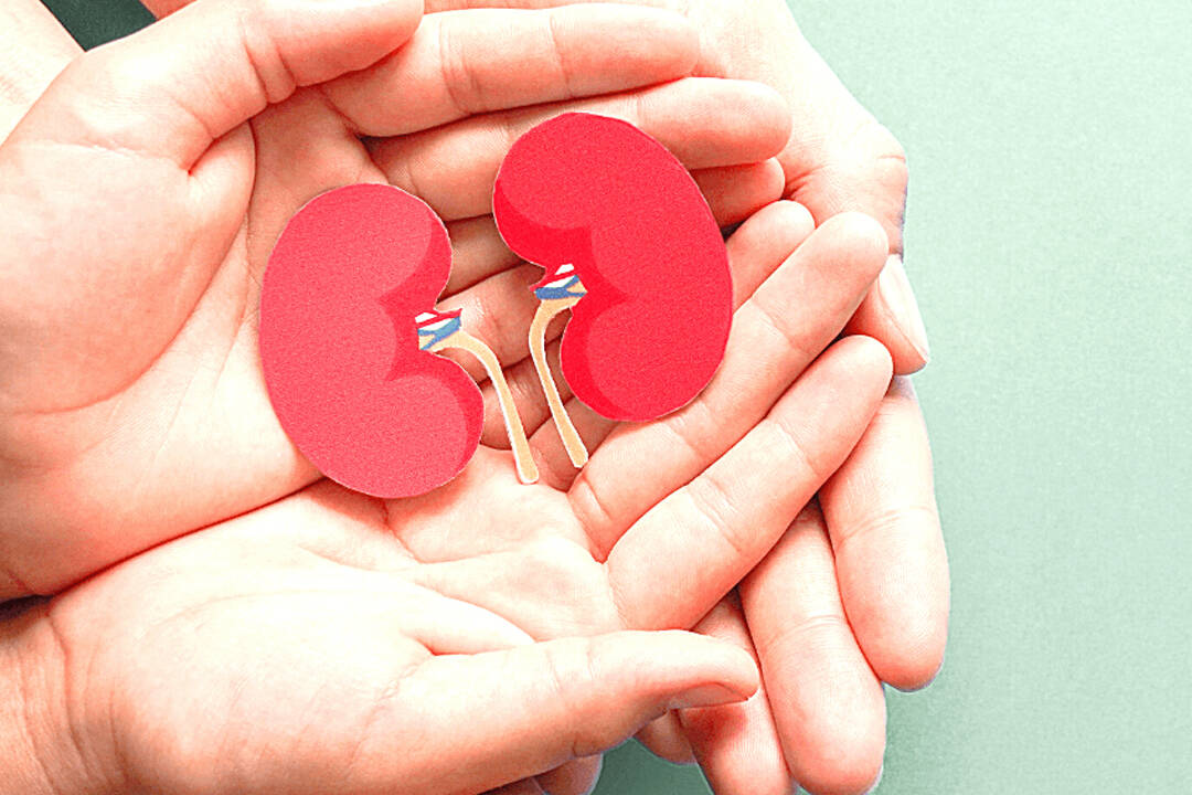 kidney-disease-myths