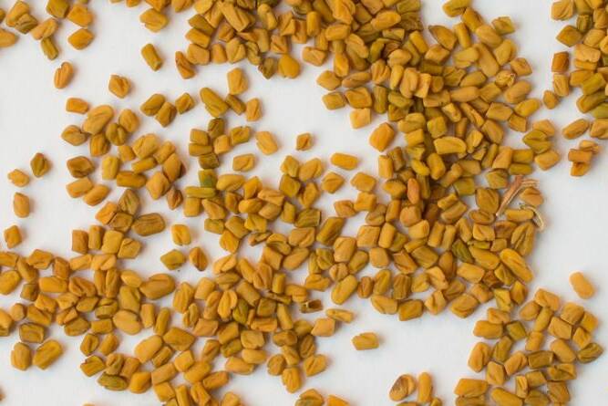 fenugreek-seeds-methi-benefits