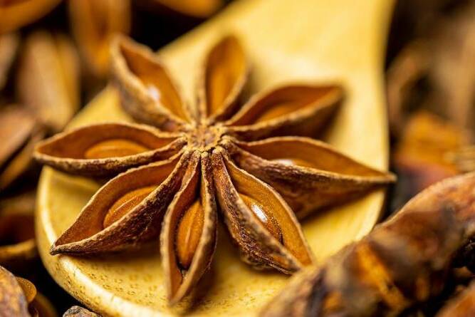 star anise benefits