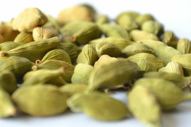 cardamom health benefits