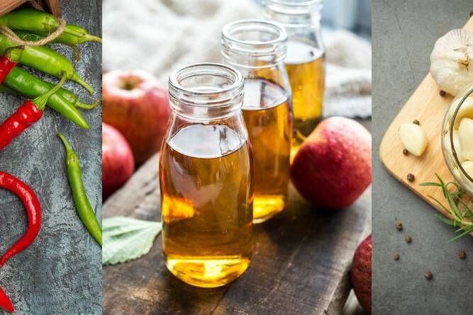 thermogenic foods burn fat
