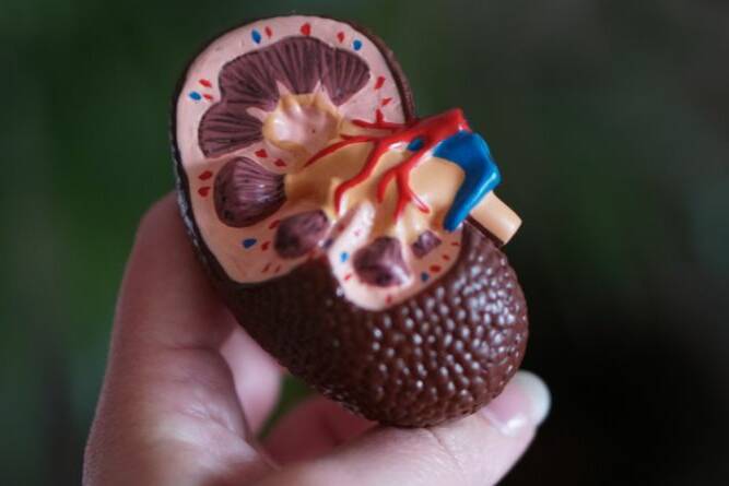 kidney care inexpensive lifestyle changes