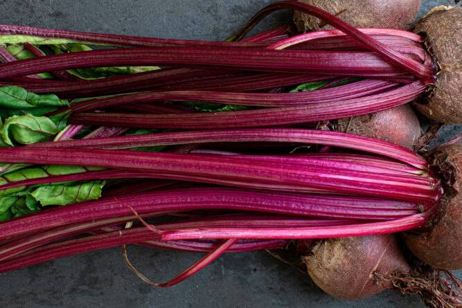 beetroot benefits-2