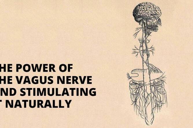 how to stimulate the vagus nerve