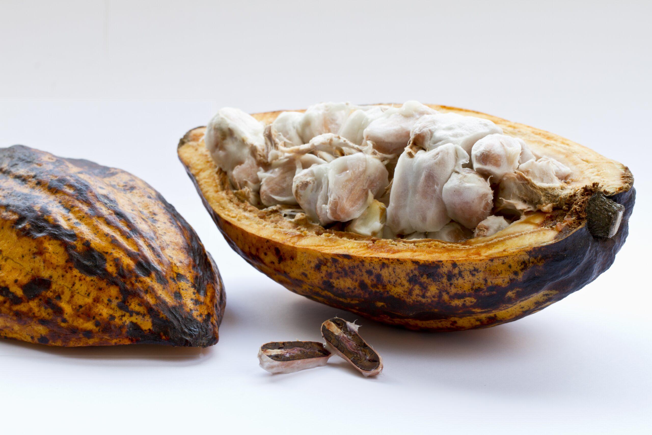 Unlock the Sweet Secret: Why You Should Add Dark Chocolate To Your Routine