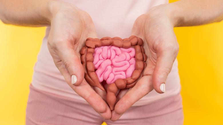 Gut health 