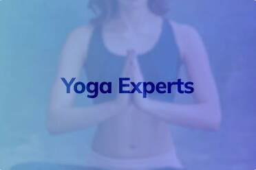 Experts 6