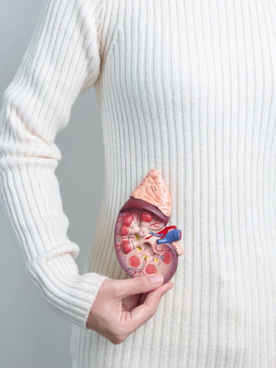 Kidney Care Program