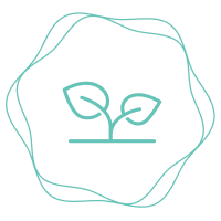 Skin Care Program
