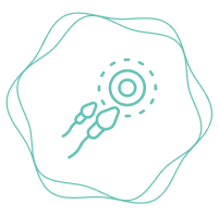 Fertility Program
