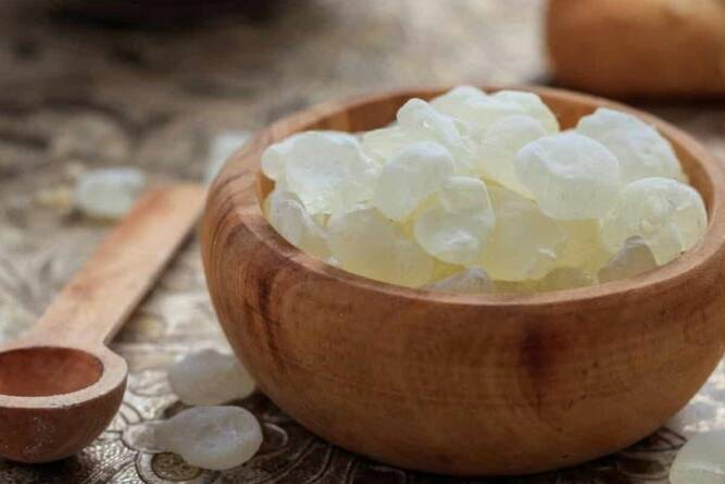 How to Take Mastic Gum for Maximum Benefit