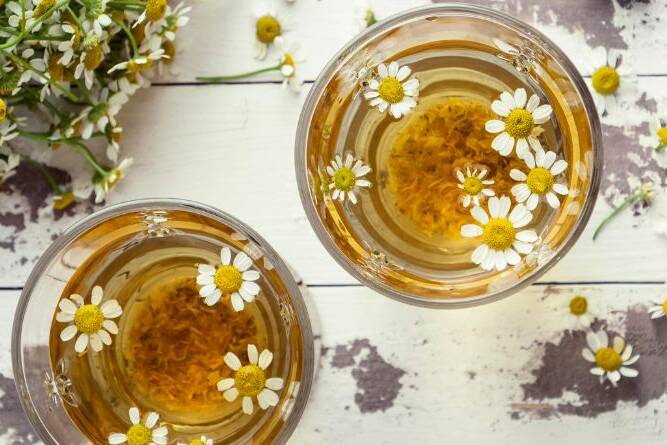 chamomile-tea-apigenin-benefits