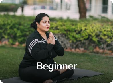 Beginner