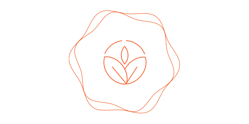 Holistic Growth