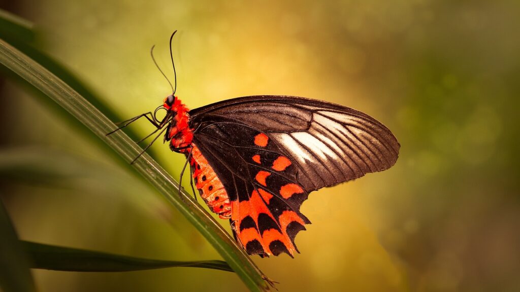 Dark Night of the Soul: Why Struggles Lead to Emotional Growth and Transformation