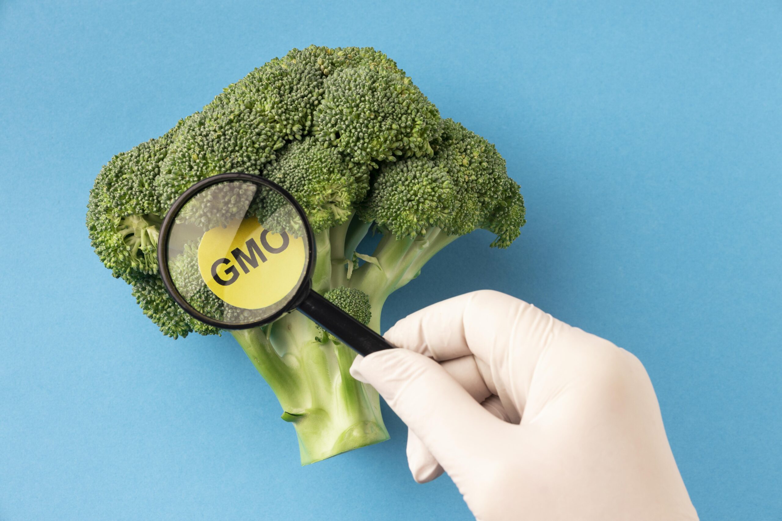 The Truth Behind Bioengineered Foods: What’s Really on Your Plate and How It Impacts Your Health image
