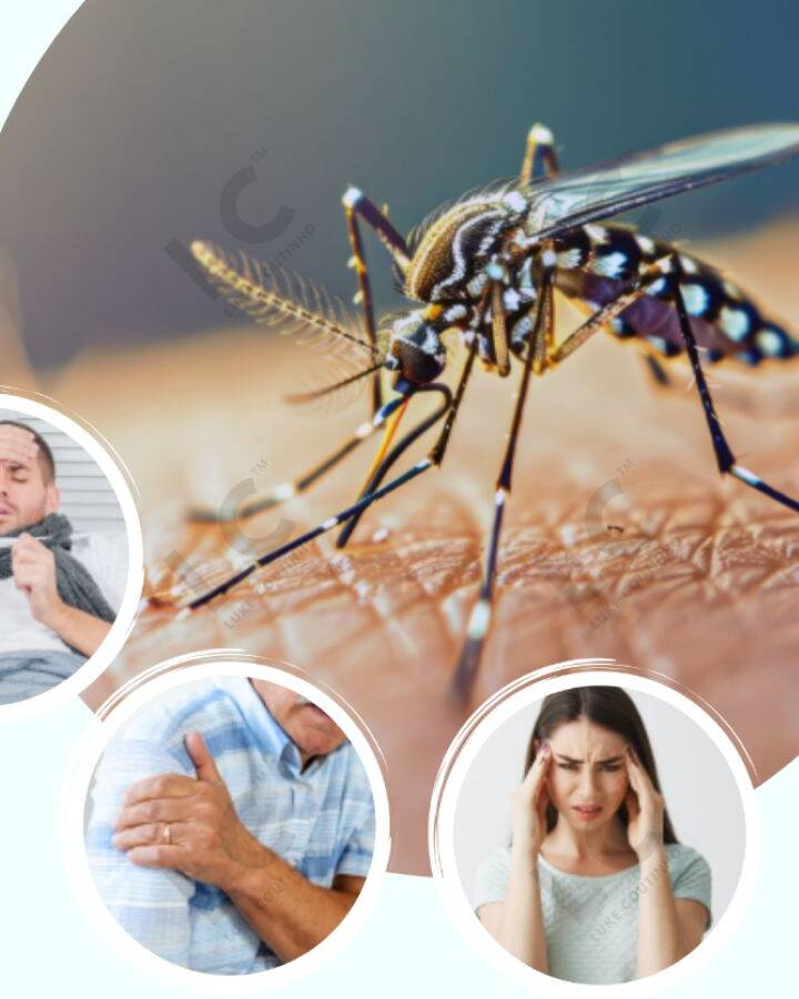 Team Luke's 101 Guide to Chikungunya Relief