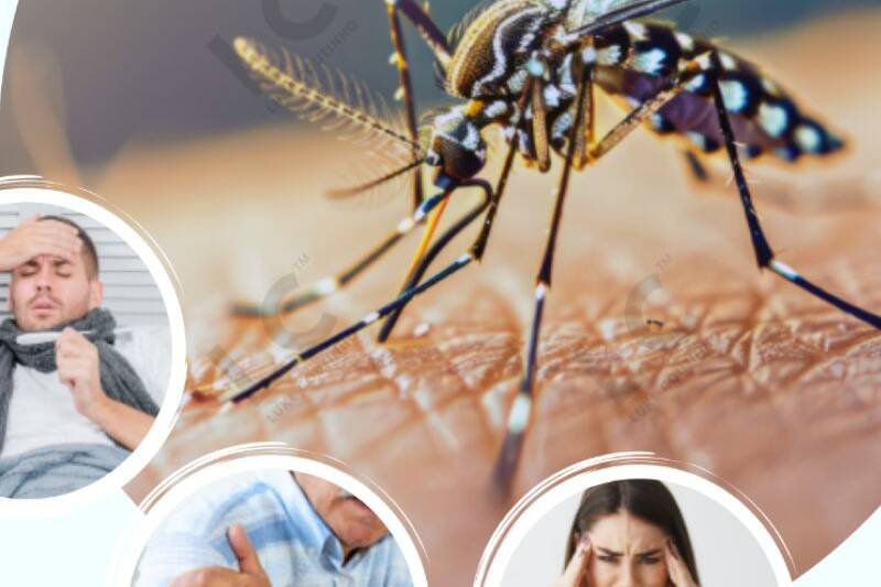 Team Luke's 101 Guide to Chikungunya Relief
