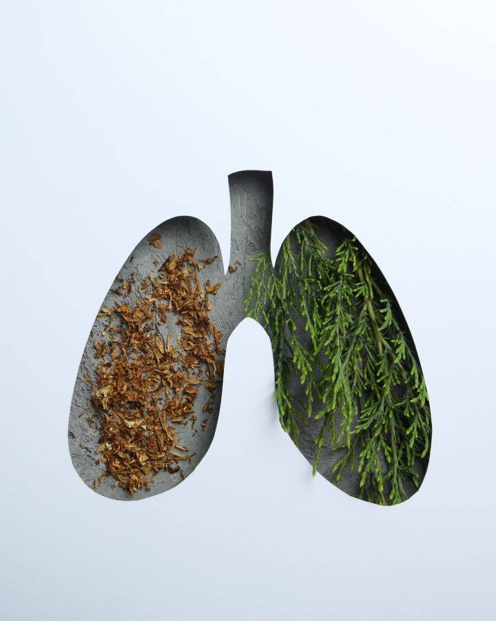 The Magic Lung Cleanse by Team Luke