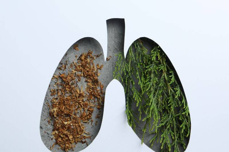 The Magic Lung Cleanse by Team Luke