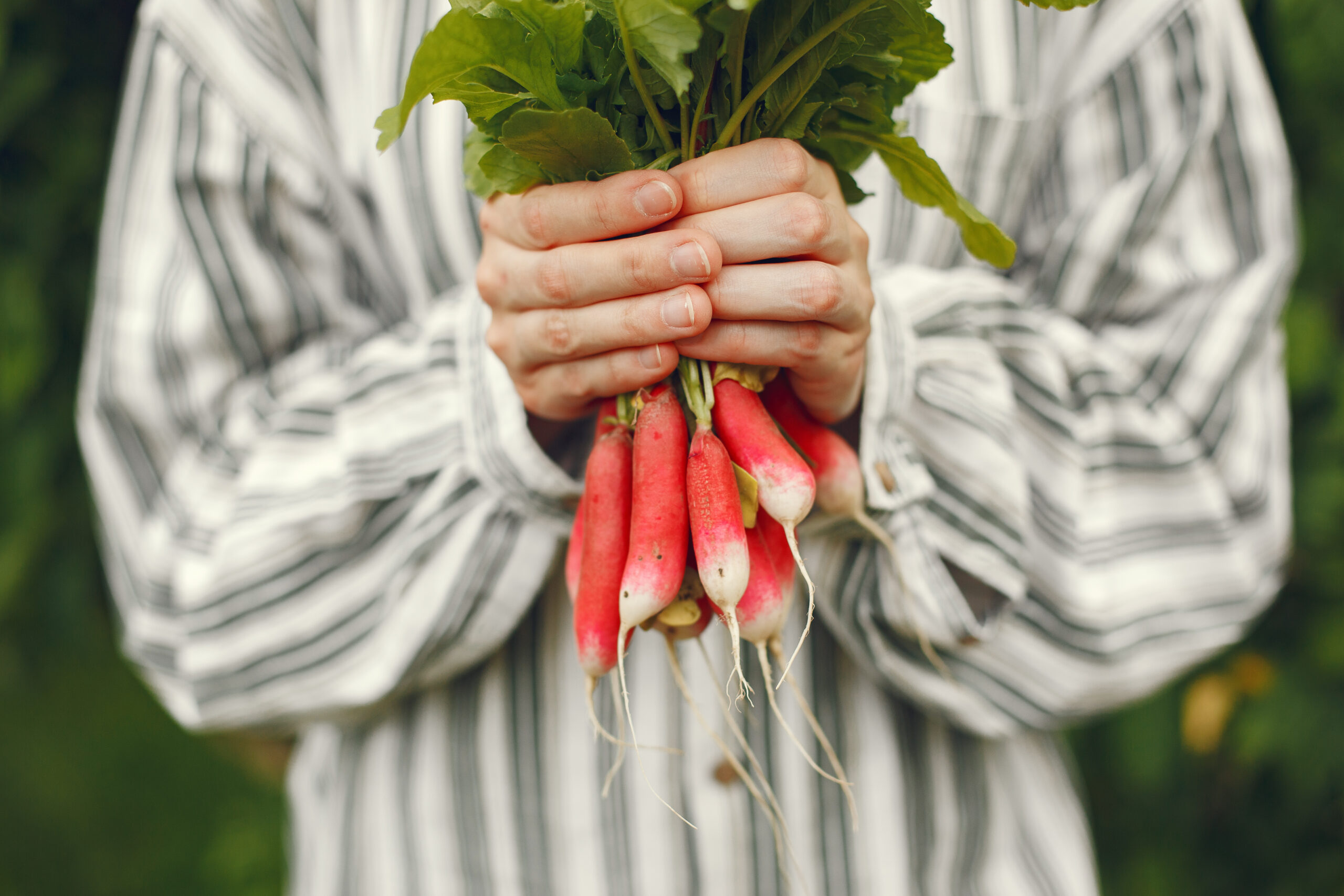 My Go-To Winter Veggie for Gut Health, Hormonal Balance, Regulate Inflammation and More!