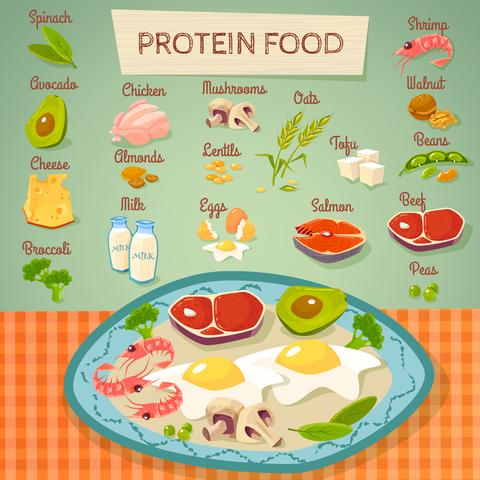 Think You Need 1 Gram of Protein Per Kilo? Here’s What Science Really Says!