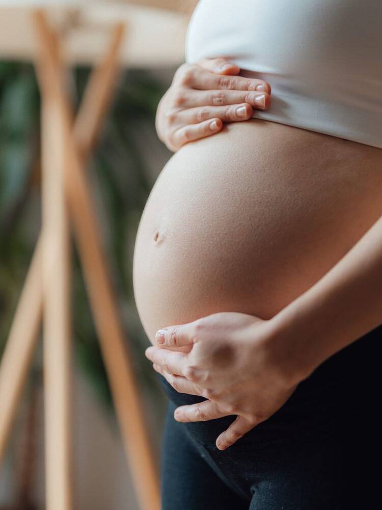 A Guide To and Through Pregnancy
