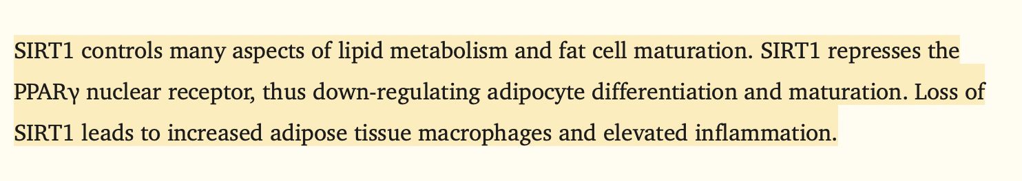 Want to Live Longer and Healthier? It All Starts With This One Gene!