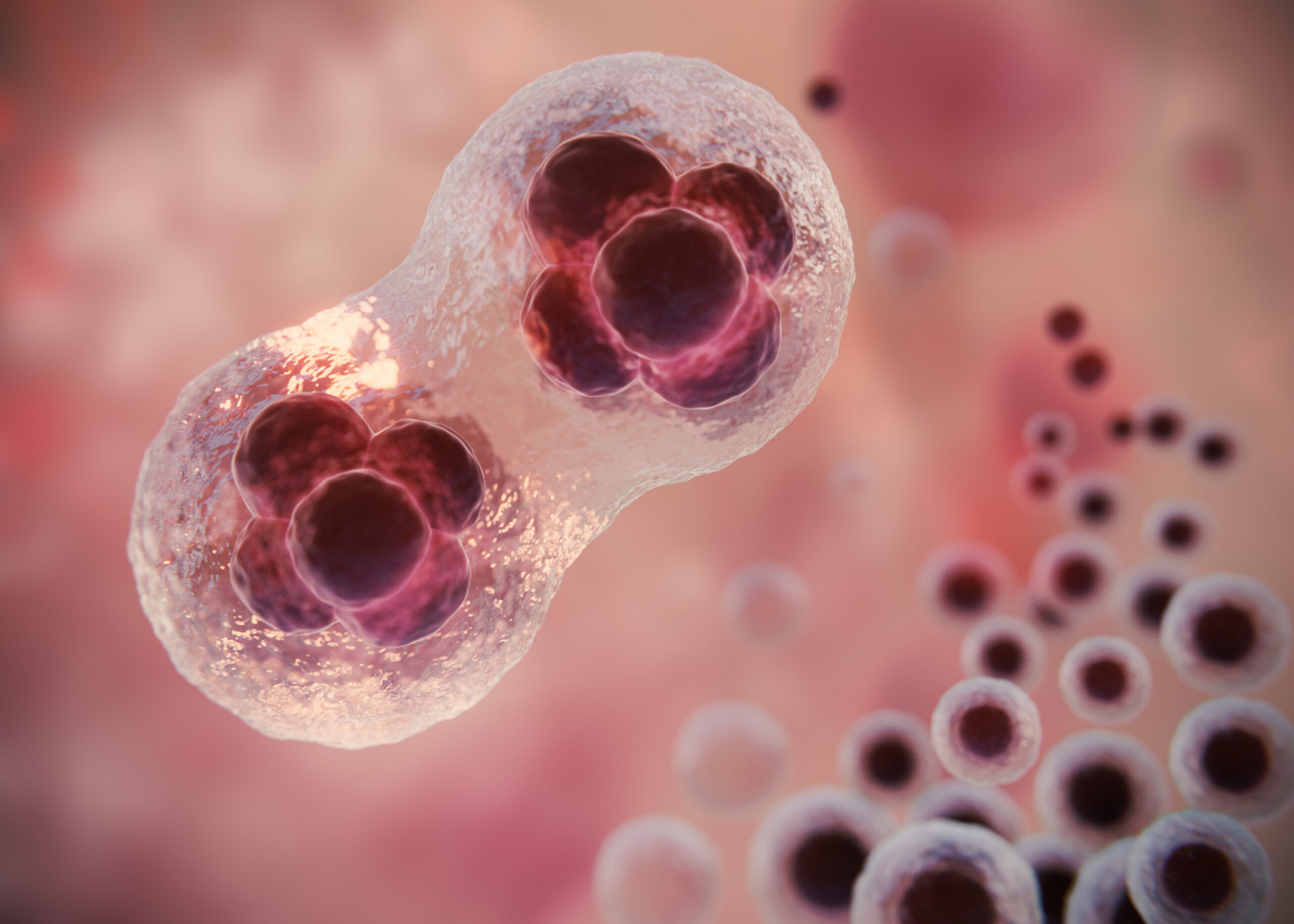 Not Everything You Hear About HPV is True—Let’s Clear Up the Confusion