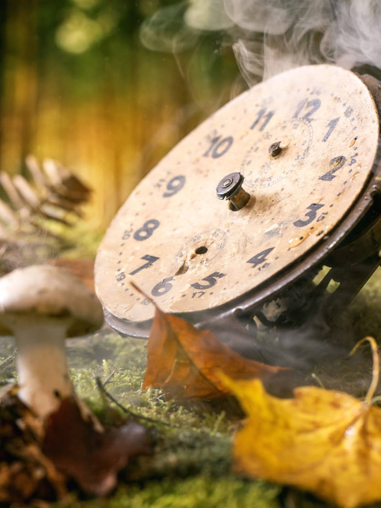 Circadian Rhythm: A New Way of Living Beyond Medicine