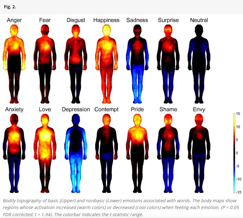 Your Body Never Forgets: The Science and Hidden Impact of Stored Trauma