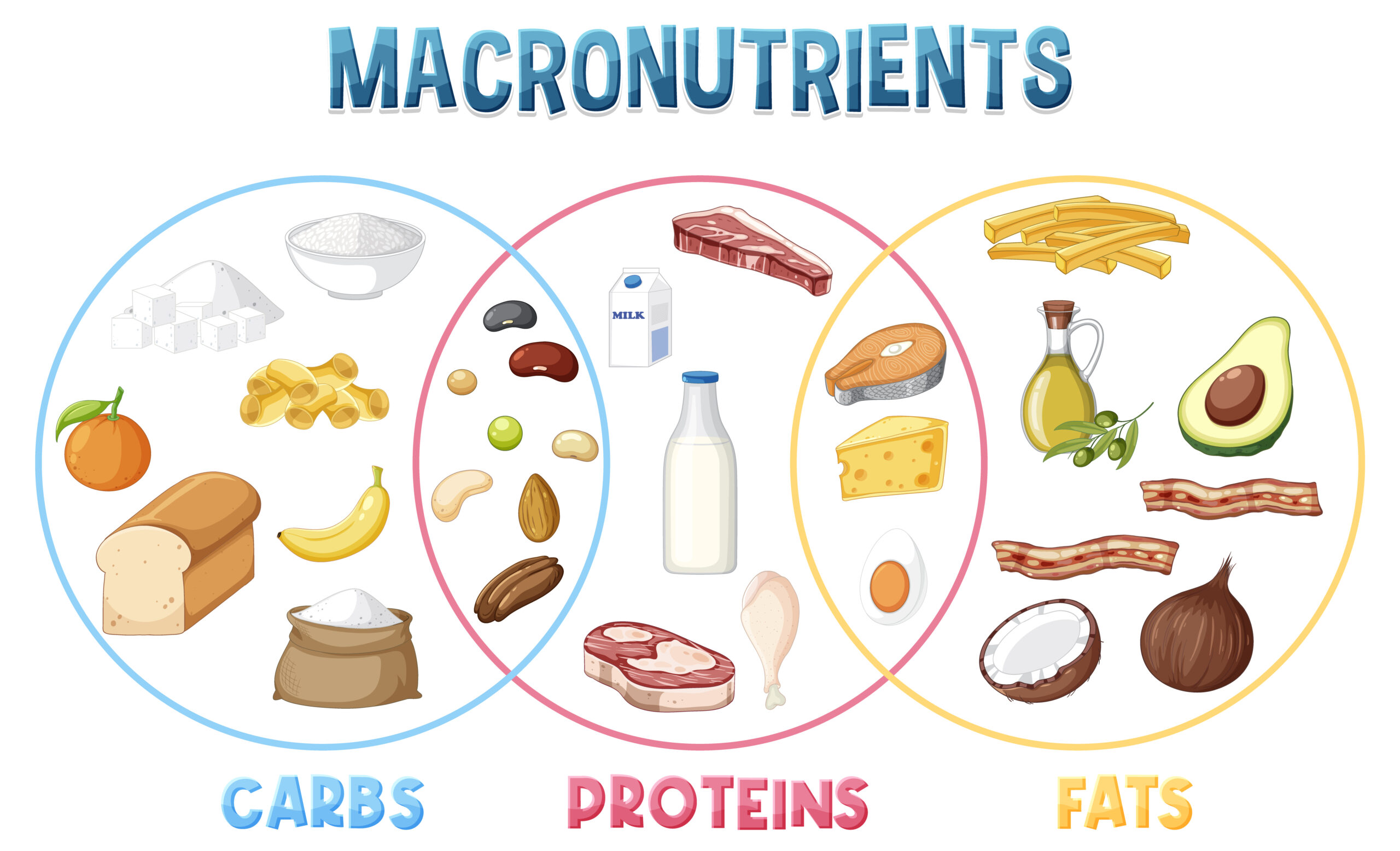 Think You Need 1 Gram of Protein Per Kilo? Here’s What Science Really Says!