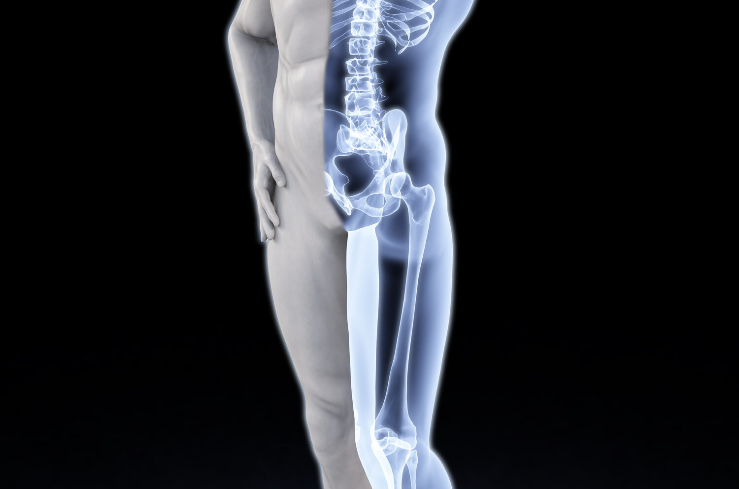 strong-bones-1500x992 featured image