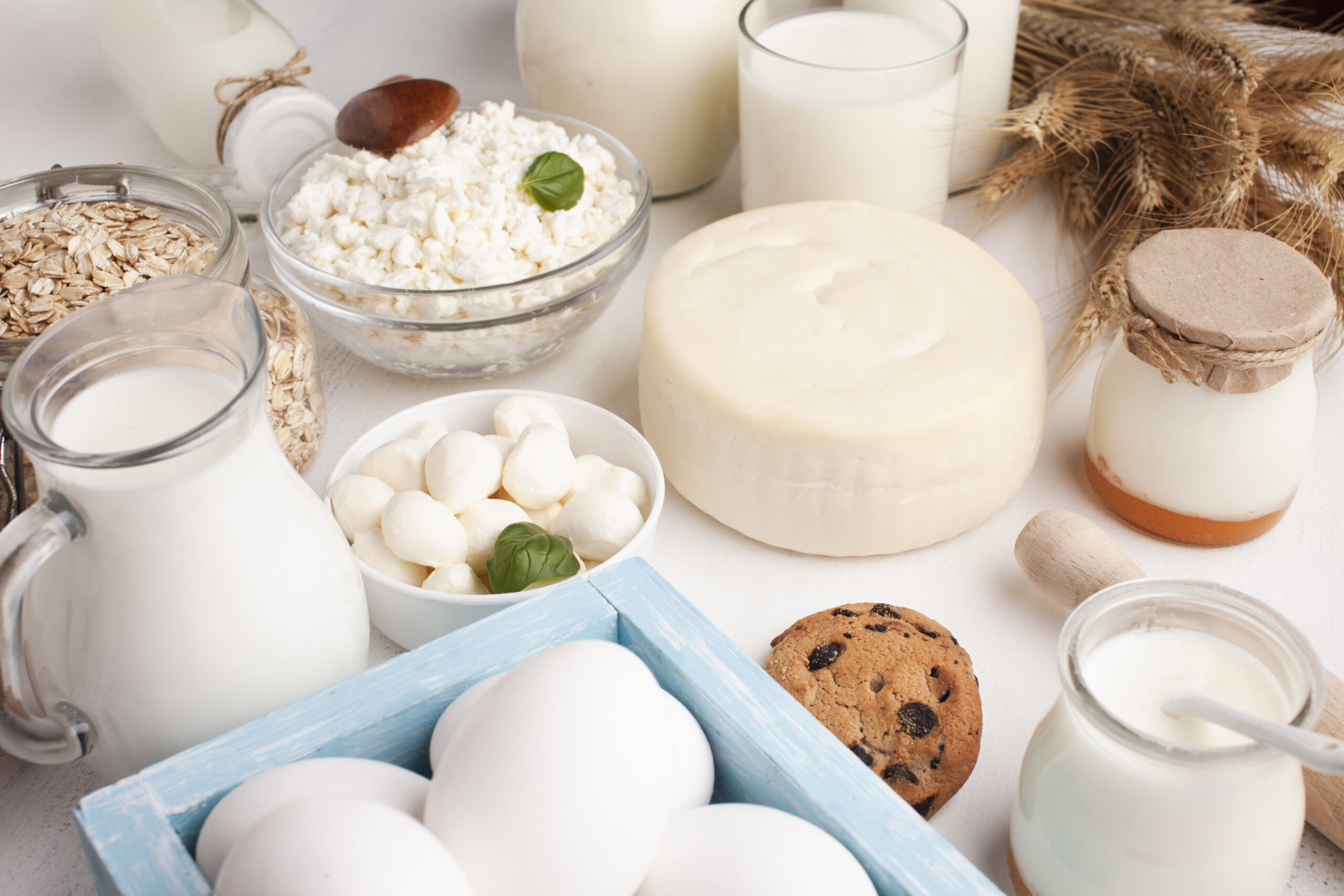 What is Calcification? Uncover the Meaning, Symptoms, Causes (Vitamin K Deficiency), Calcium Function & Your Prevention Action Plan