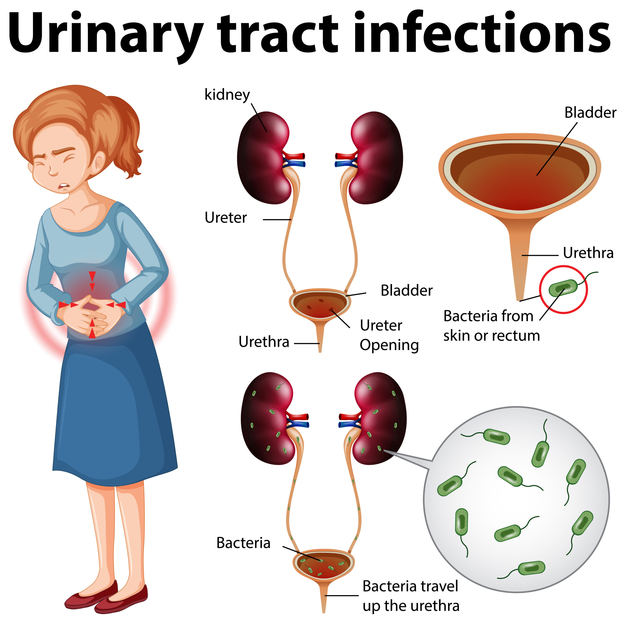 Are You Too Busy to Pee? Learn Why That Could Be Damaging Your Bladder!