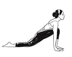 Salute the Sun: How a 15-Minute Daily Surya Namaskar Can Supercharge Your Mornings