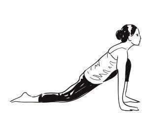 Salute the Sun: How a 15-Minute Daily Surya Namaskar Can Supercharge Your Mornings