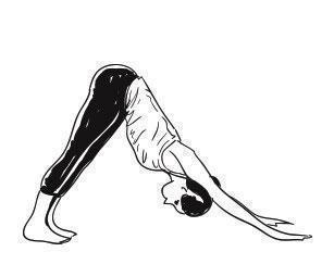 Salute the Sun: How a 15-Minute Daily Surya Namaskar Can Supercharge Your Mornings