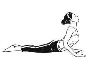 Salute the Sun: How a 15-Minute Daily Surya Namaskar Can Supercharge Your Mornings