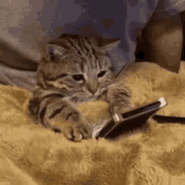 Scrolling phone while sleeping