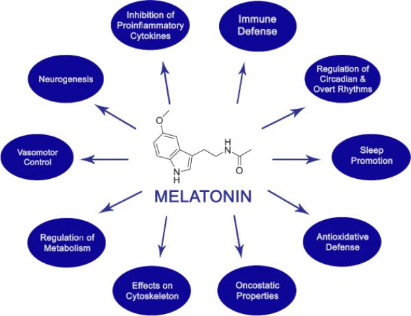 Melatonin increases by sleeping in the dark