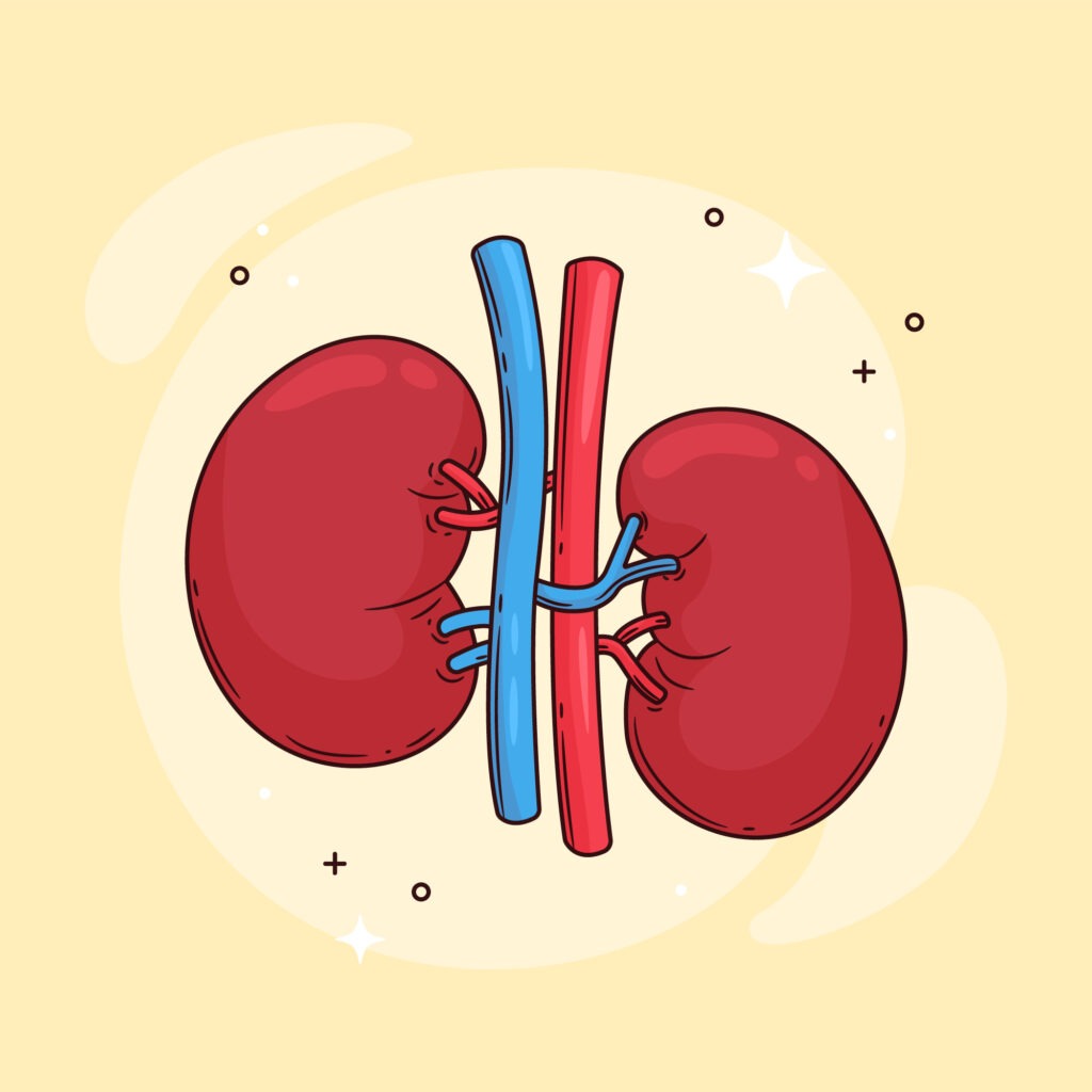 kidney care