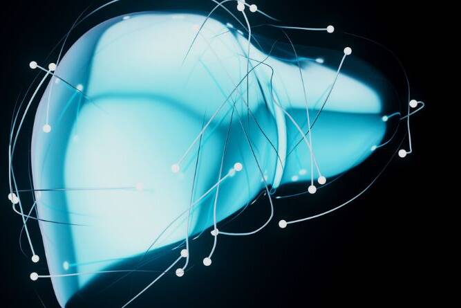 fatty liver symptoms