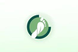 Pillar of holistic health - 2